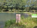 Etang des Forges